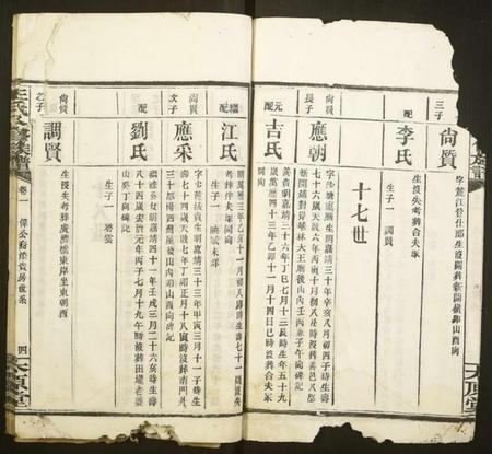 湖南王氏族谱-王氏八修族谱.pdf电子版插图4 湖南王氏族谱-王氏八修族谱.pdf电子版插图4