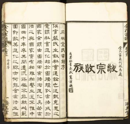 湖北金氏族谱-金氏宗谱.pdf电子版插图5