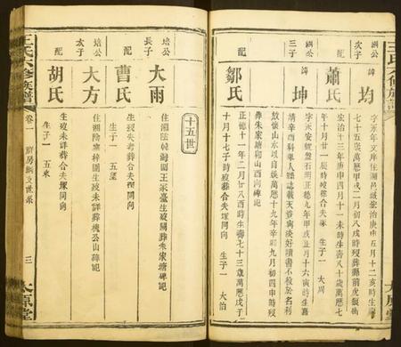 湖南王氏族谱-王氏六修族谱.pdf电子版插图3