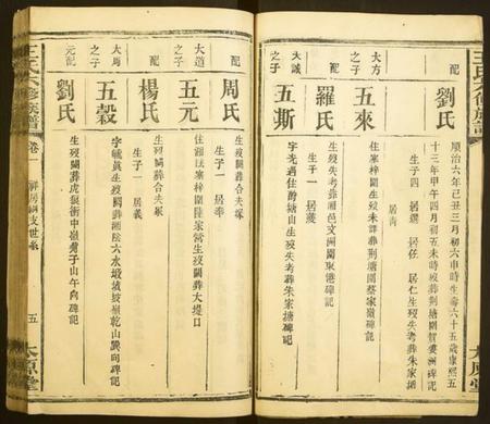 湖南王氏族谱-王氏六修族谱.pdf电子版插图5