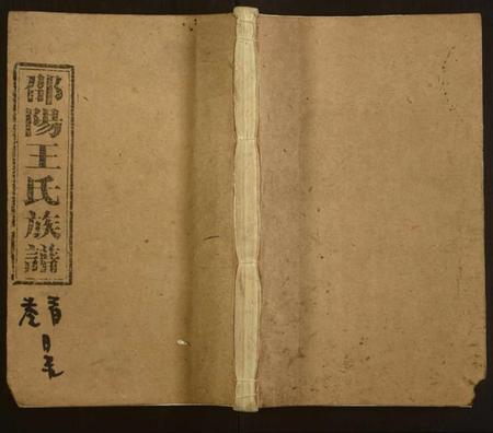 湖南王氏族谱-王氏六修族谱.pdf电子版