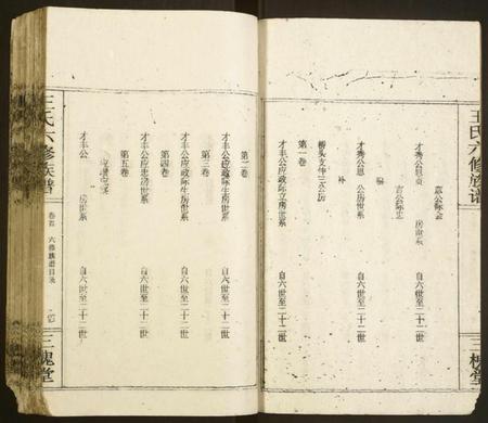 湖南王氏族谱-王氏六修族谱.pdf电子版插图4