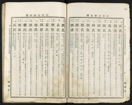 湖南王氏族谱-王氏六修族谱 [残卷].pdf电子版插图3