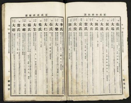 湖南王氏族谱-王氏六修族谱 [残卷].pdf电子版插图5