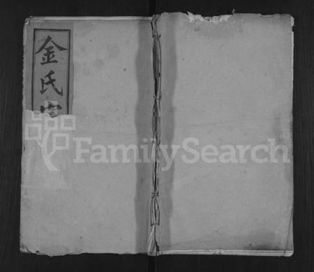 湖北金氏族谱-金氏宗谱 [残卷].pdf电子版