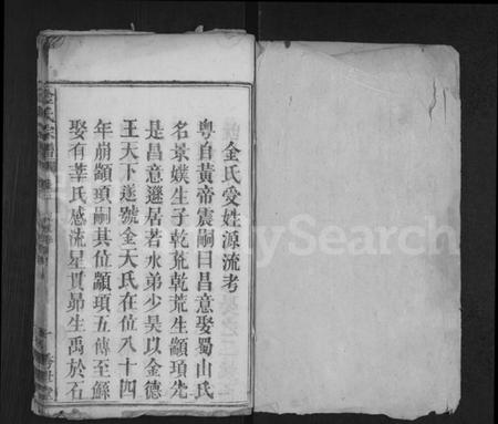 湖北金氏族谱-金氏宗谱 [残卷].pdf电子版插图1