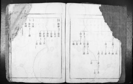 江西李氏族谱-蓝溪李氏族谱.pdf电子版插图4