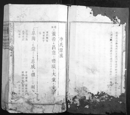 江西李氏族谱-藤溪李氏六修族谱.pdf电子版插图2 江西李氏族谱-藤溪李氏六修族谱.pdf电子版插图2