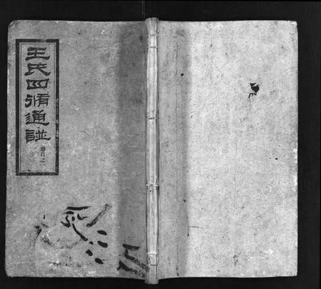 湖南王氏族谱-王氏四修通谱 [13卷,首9卷].pdf电子版插图1