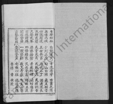 湖南王氏族谱-王氏宗谱 [各房分卷,首5卷].pdf电子版插图1