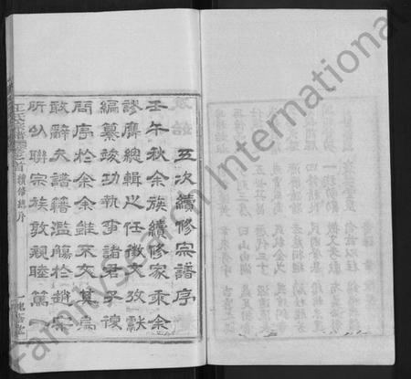 湖南王氏族谱-王氏宗谱 [各房分卷,首5卷].pdf电子版插图2