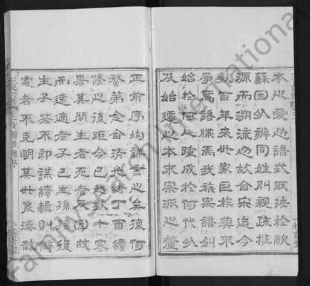 湖南王氏族谱-王氏宗谱 [各房分卷,首5卷].pdf电子版插图3