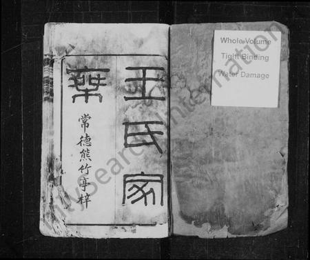 湖南王氏族谱-王氏家乘 [10卷,首1卷].pdf电子版插图2