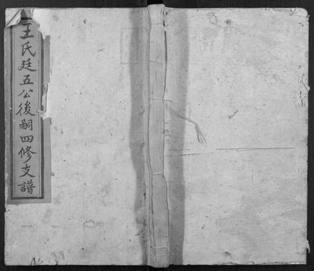 湖南王氏族谱-王氏廷五公四修支谱.pdf电子版