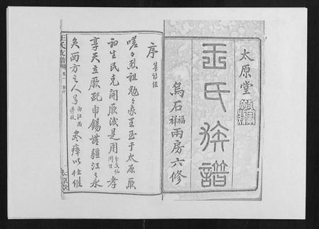 湖南王氏族谱-王氏支谱 [20卷].pdf电子版插图1