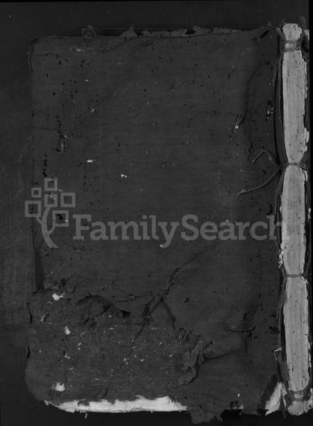 江西李氏族谱-雩都西平李氏族谱 [不分卷].pdf电子版