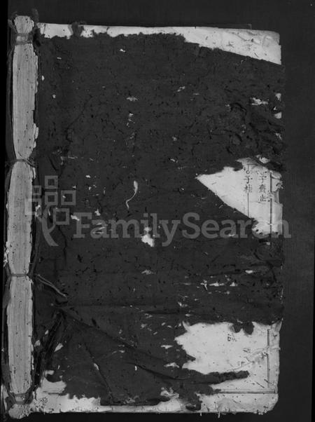 江西李氏族谱-雩都西平李氏族谱 [不分卷].pdf电子版插图1