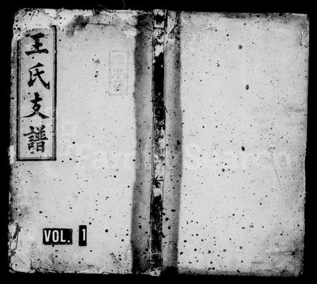 湖南王氏族谱-王氏支谱 [6卷].pdf电子版插图1