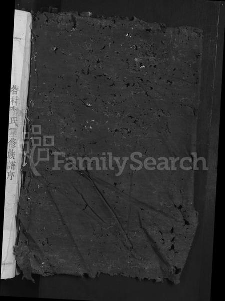 江西李氏族谱-雩都西平李氏族谱 [不分卷].pdf电子版插图2