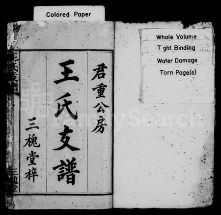 湖南王氏族谱-王氏支谱 [6卷].pdf电子版插图2