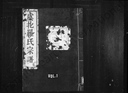 浙江罗氏族谱-虞北罗氏宗谱 [14卷,首2卷,末1卷].pdf电子版插图1