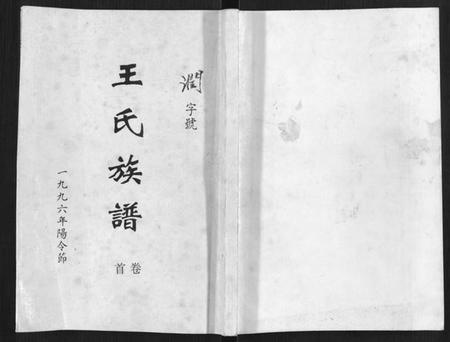 湖南王氏族谱-王氏族谱.pdf电子版