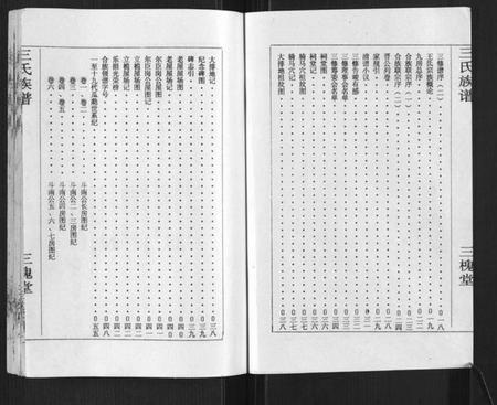湖南王氏族谱-王氏族谱.pdf电子版插图2 湖南王氏族谱-王氏族谱.pdf电子版插图2