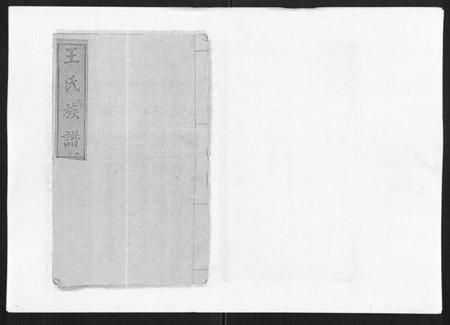 湖南王氏族谱-王氏族谱.pdf电子版插图 湖南王氏族谱-王氏族谱.pdf电子版插图