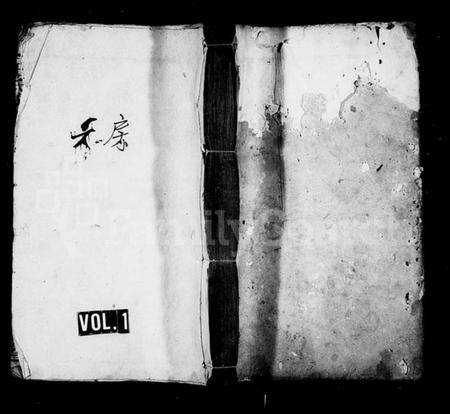 湖南王氏族谱-王氏族谱 [12卷,末1卷].pdf电子版插图1