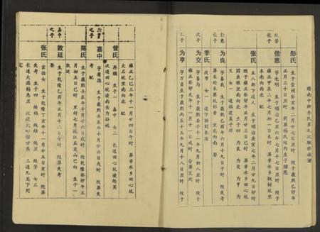 江西李氏族谱-赣南中牌祠李氏族谱[不分卷].pdf电子版插图3