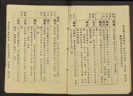 江西李氏族谱-赣南中牌祠李氏族谱[不分卷].pdf电子版插图4