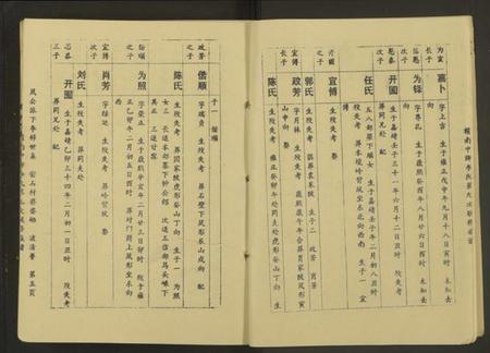 江西李氏族谱-赣南中牌祠李氏族谱[不分卷].pdf电子版插图5