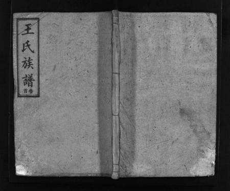 湖南王氏族谱-王氏族谱 [16卷,首3卷].pdf电子版插图1