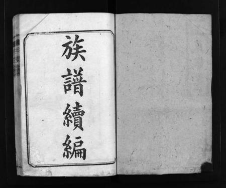 湖南王氏族谱-王氏族谱 [16卷,首3卷].pdf电子版插图2