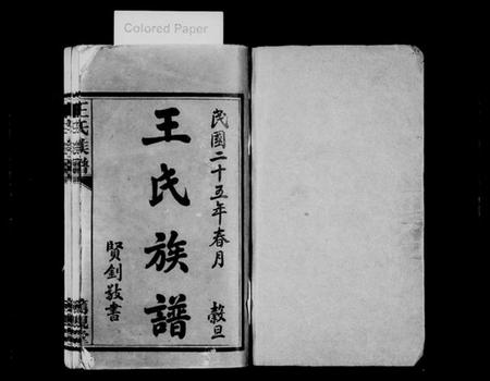 湖南王氏族谱-王氏族谱 [17卷].pdf电子版插图2