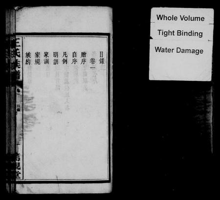 湖南王氏族谱-王氏族谱 [17卷].pdf电子版插图4