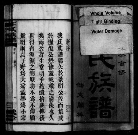 湖南王氏族谱-王氏族谱 [3卷,首2卷].pdf电子版插图3