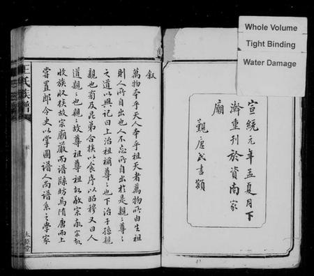 湖南王氏族谱-王氏族谱 [9卷,首1卷].pdf电子版插图2