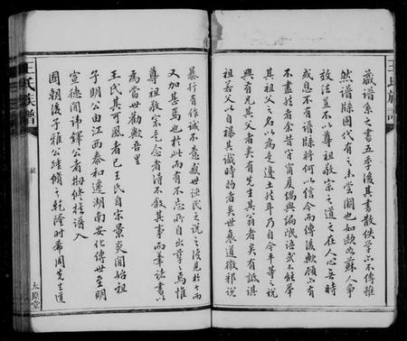 湖南王氏族谱-王氏族谱 [9卷,首1卷].pdf电子版插图4