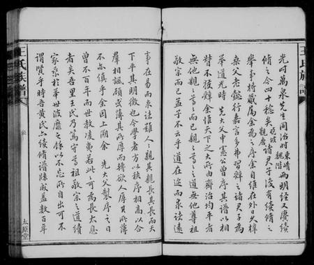 湖南王氏族谱-王氏族谱 [9卷,首1卷].pdf电子版插图5