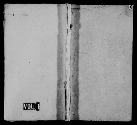 湖南王氏族谱-王氏族谱 [卷数杂异].pdf电子版插图1