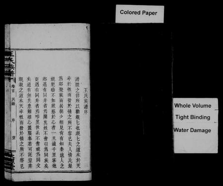 湖南王氏族谱-王氏族谱 [卷数杂异].pdf电子版插图3