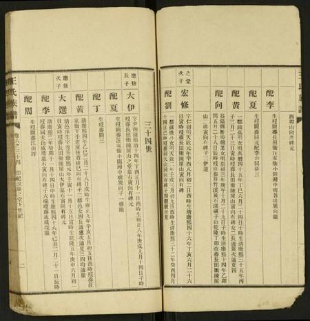 湖南王氏族谱-王氏族谱 [残卷].pdf电子版插图2