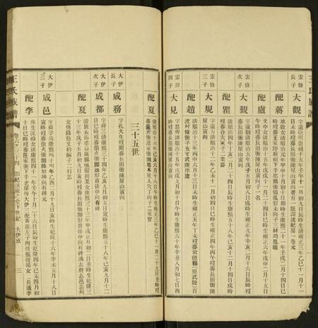 湖南王氏族谱-王氏族谱 [残卷].pdf电子版插图3