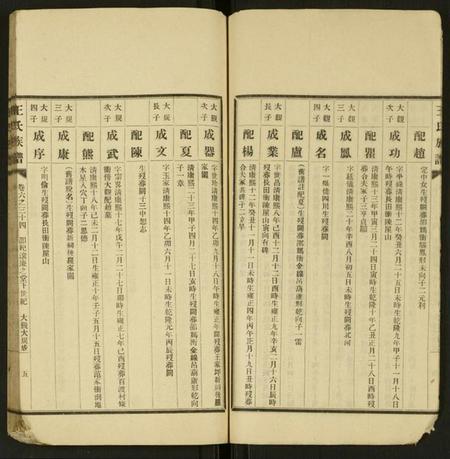 湖南王氏族谱-王氏族谱 [残卷].pdf电子版插图5