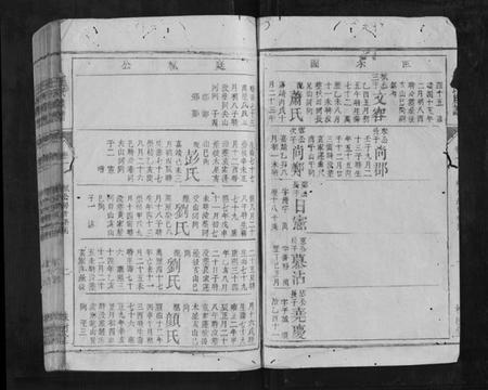 湖南王氏族谱-王氏族谱[5卷首末各1卷].pdf电子版插图2