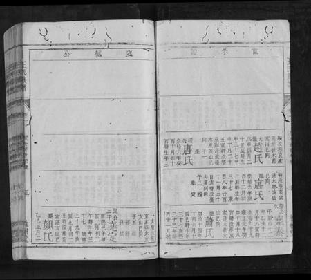 湖南王氏族谱-王氏族谱[5卷首末各1卷].pdf电子版插图5