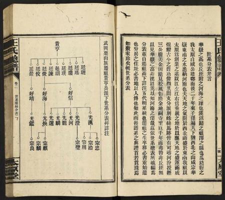 湖南王氏族谱-王氏总谱 [8卷].pdf电子版插图2