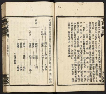 湖南王氏族谱-王氏总谱 [8卷].pdf电子版插图3