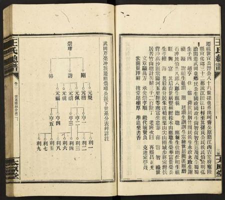 湖南王氏族谱-王氏总谱 [8卷].pdf电子版插图4